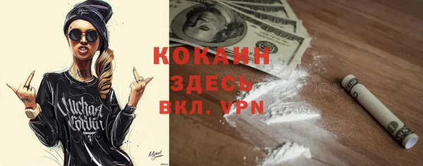 индика Беломорск