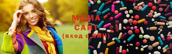 индика Беломорск