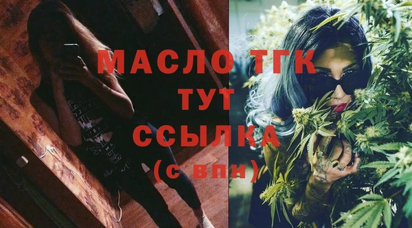 индика Беломорск
