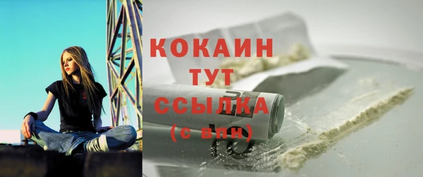 стафф Покачи