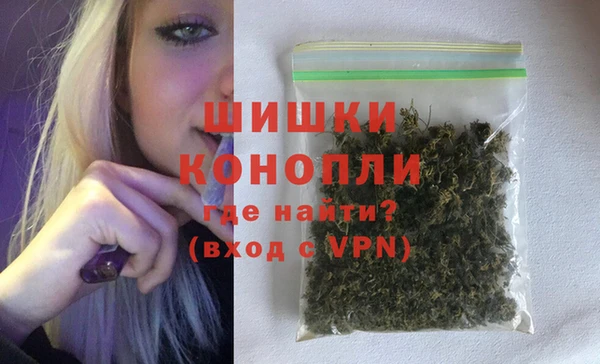 индика Беломорск
