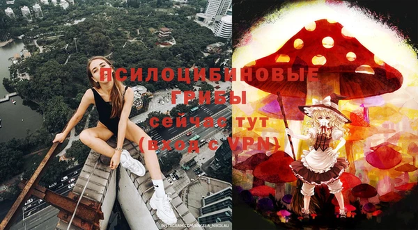 крисы Богданович