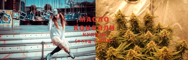 apvp Богородицк