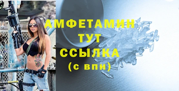 индика Беломорск
