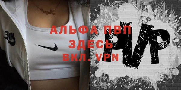 индика Беломорск