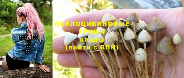 сатива Белокуриха