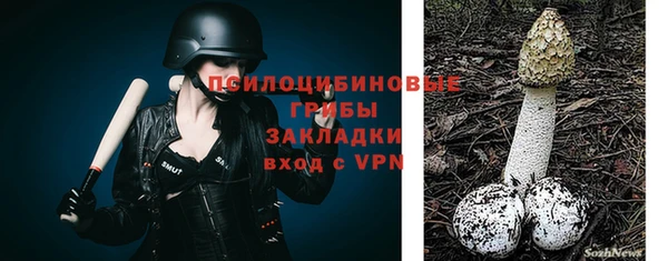 индика Беломорск