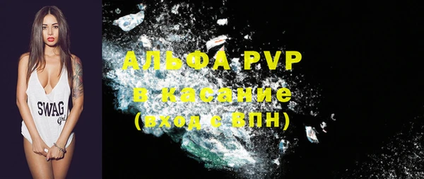 индика Беломорск