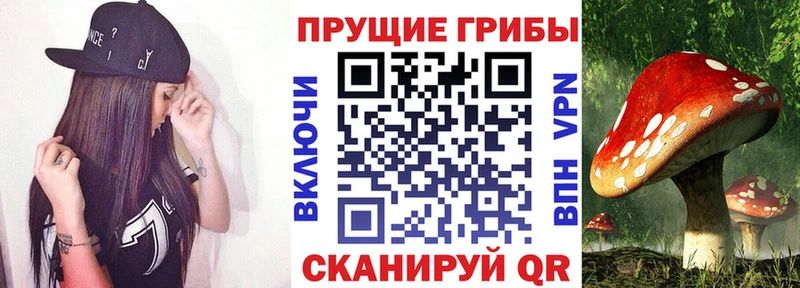 Псилоцибиновые грибы Magic Shrooms Боровск